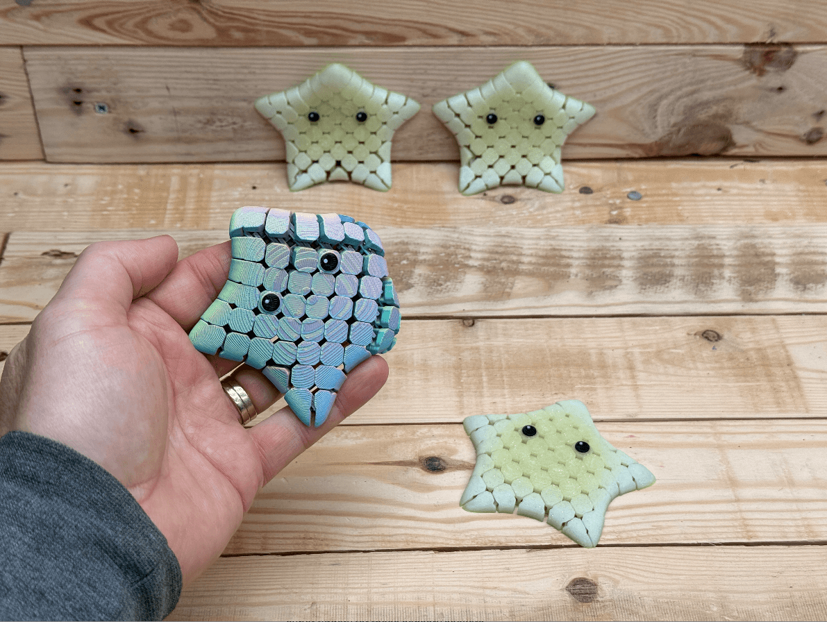Pocket Starfish Flexi 3d model