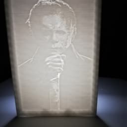 michaelmyersLITHO.stl 3d model