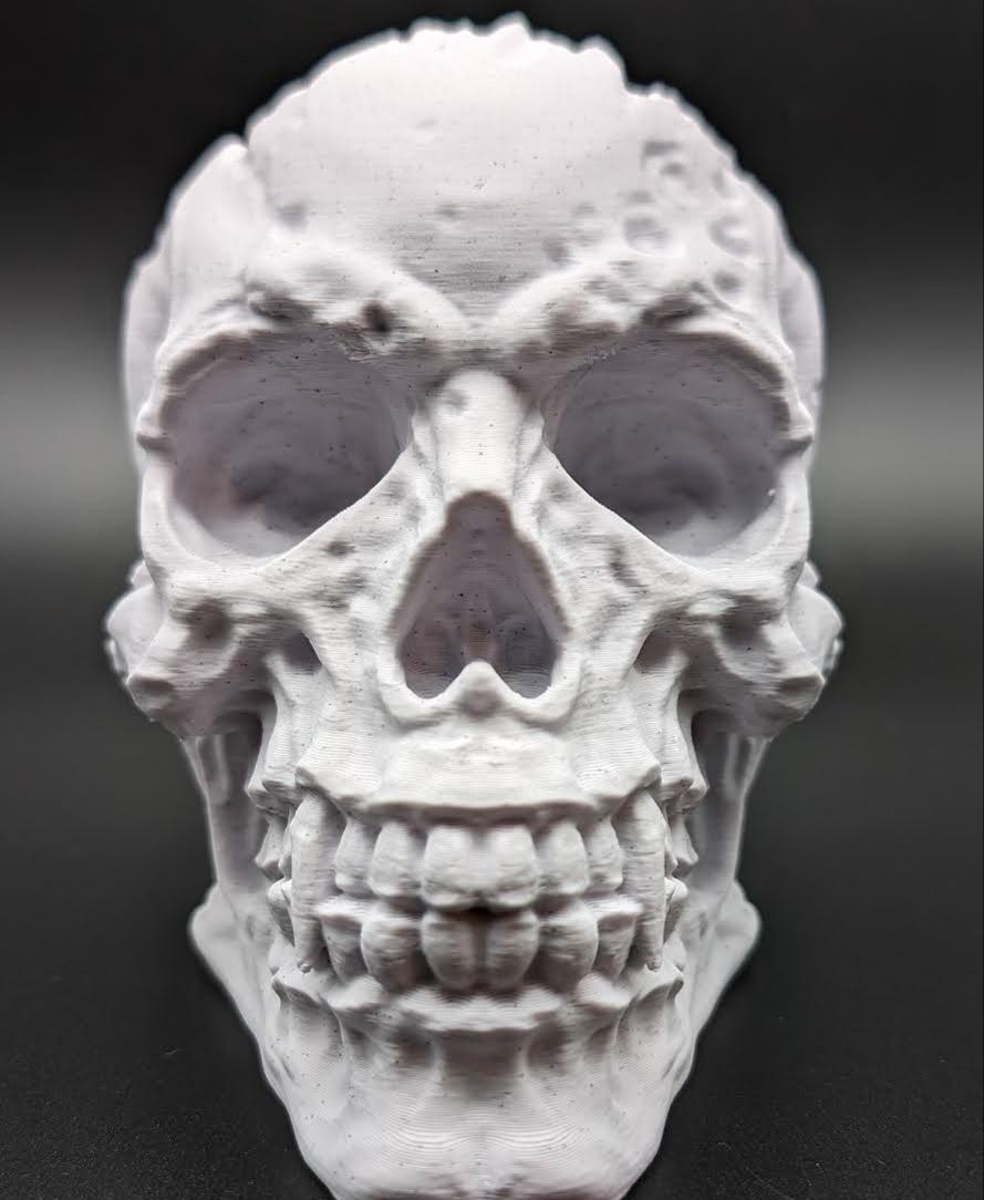 Skull Phone Holder  3d model