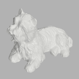 Bichon maltais 3d model