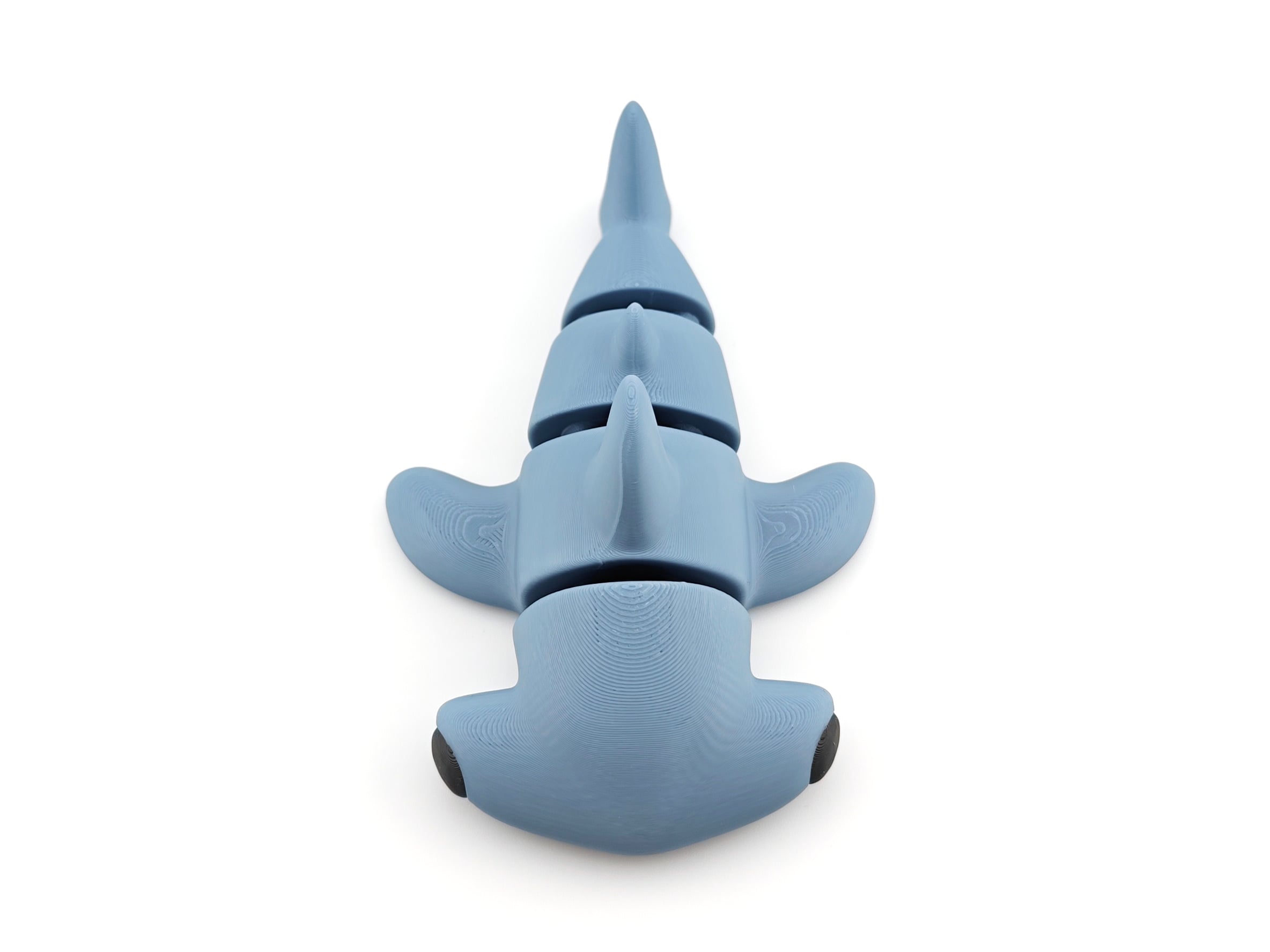 Hammerhead Shark 3d model