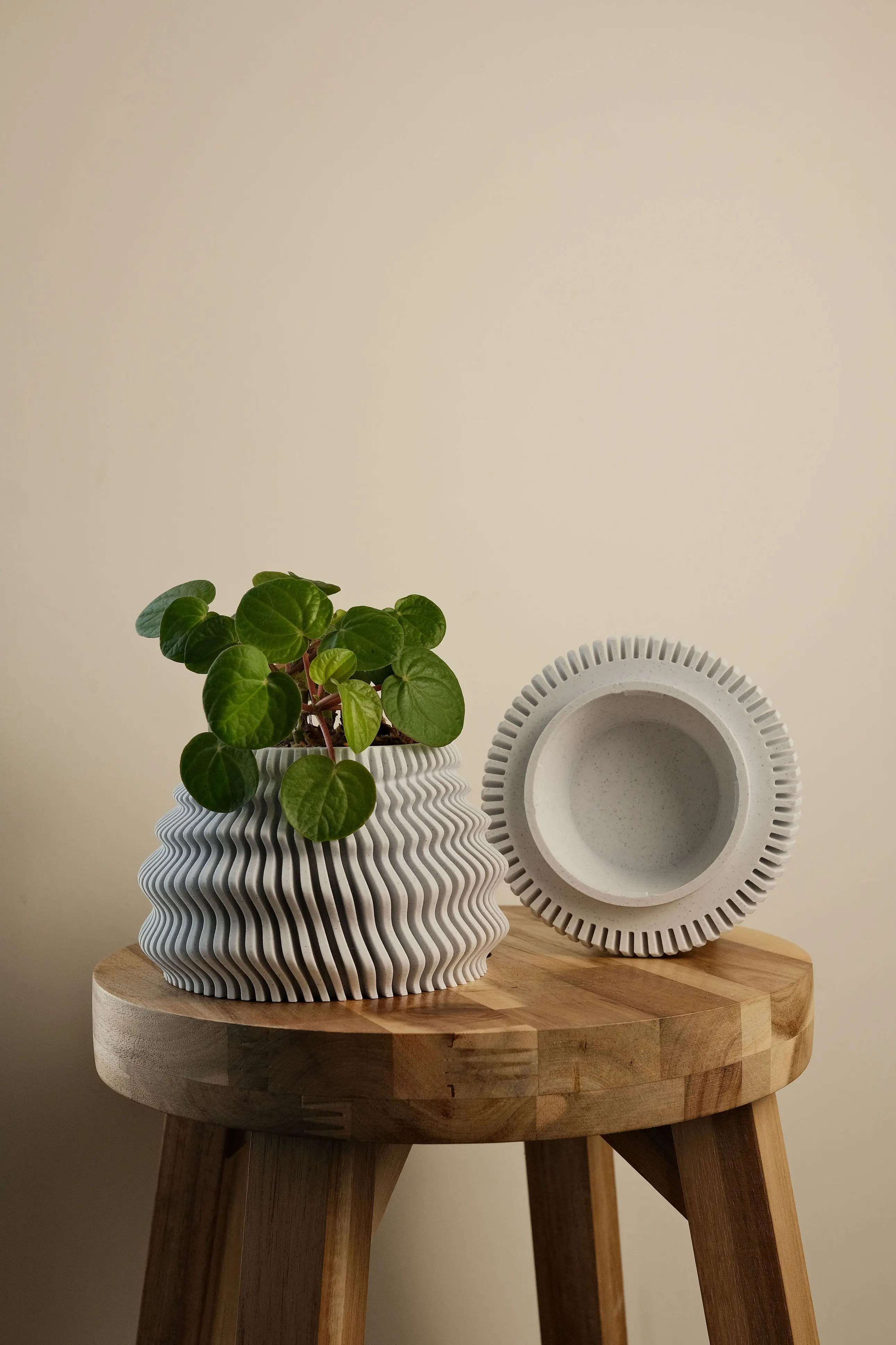 Hestia Pot with Tray 3d model