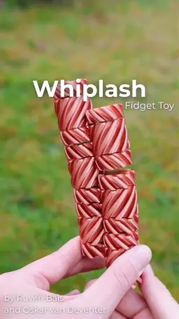 Whiplash Fidget Toy by Ruven Bals and Oskar van Deventer 3d model