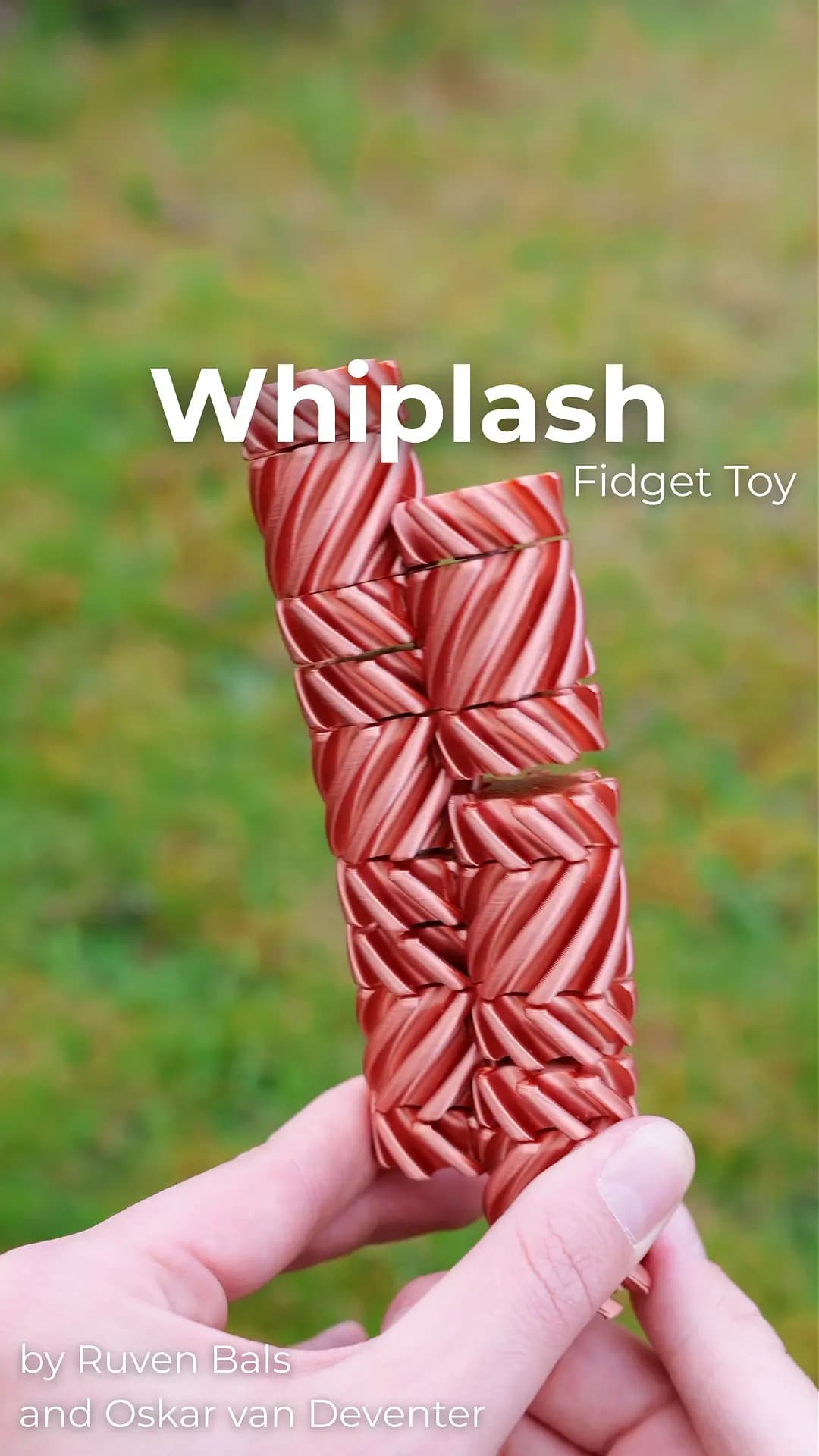 Whiplash Fidget Toy by Ruven Bals and Oskar van Deventer 3d model
