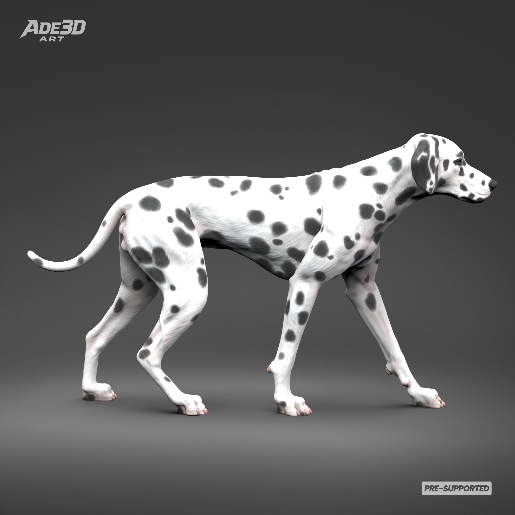 Dalmatian 3D Print Model Pose 01 3d model