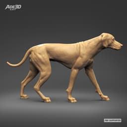 Dalmatian 3D Print Model Pose 01 3d model