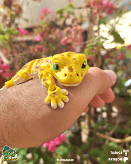 Gecko | Flexi Magnet | Multicolor 3d model