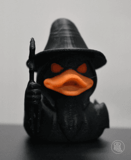 Wizard Duck 3d model