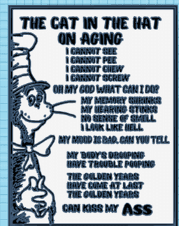 The Cat in the Hat on Aging Funny Signs, Funny wall art, Home Decor, Dual extruder, Dual extrusion 3d model