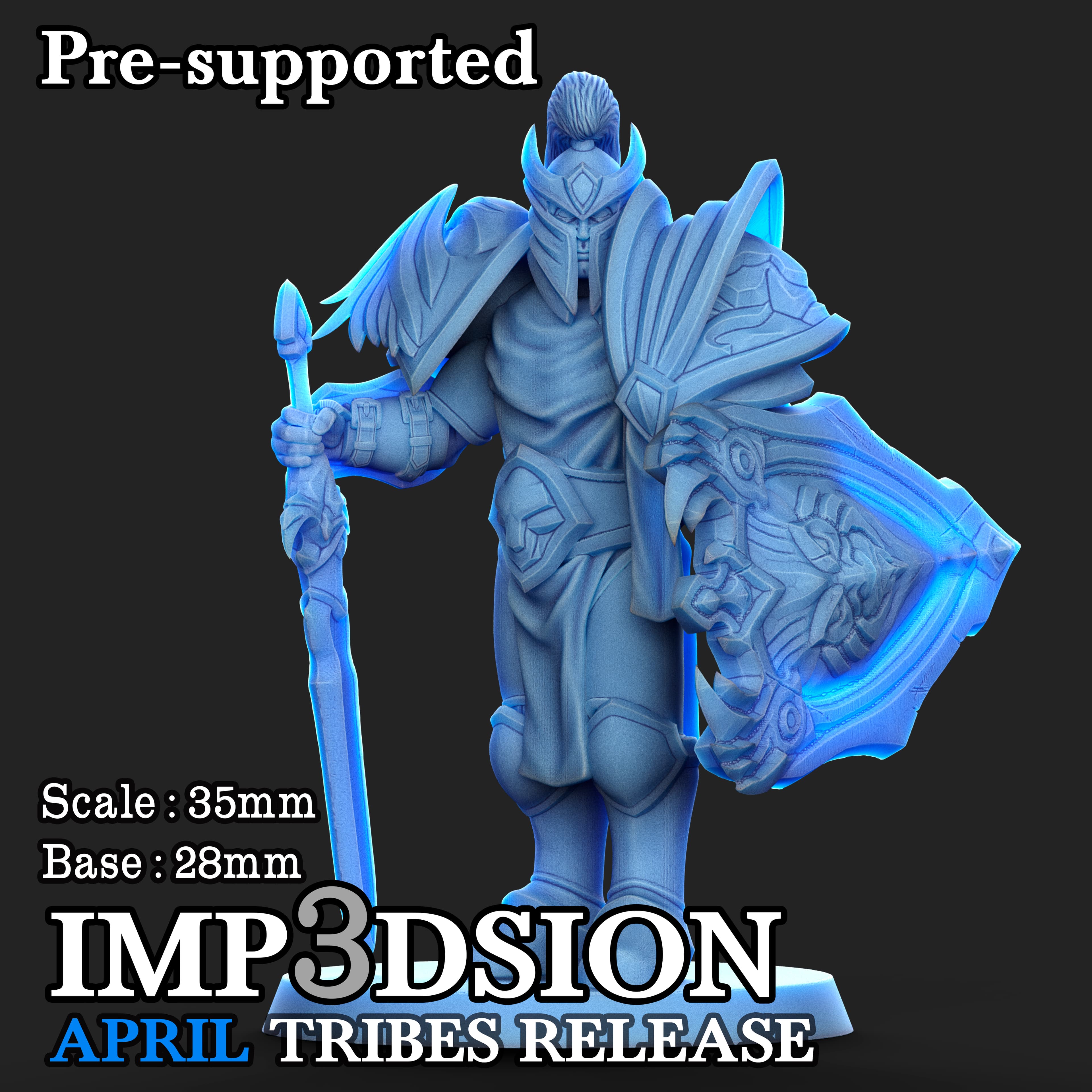 King guard 3d model