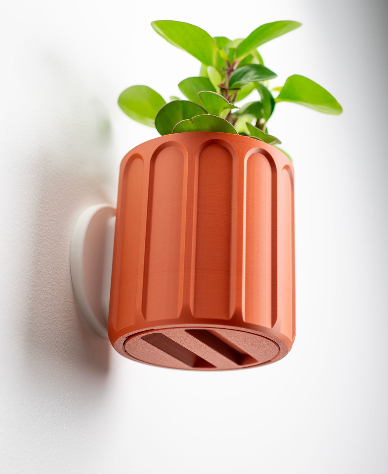 Wall Planter with Hidden Drip Tray - LG01 3d model