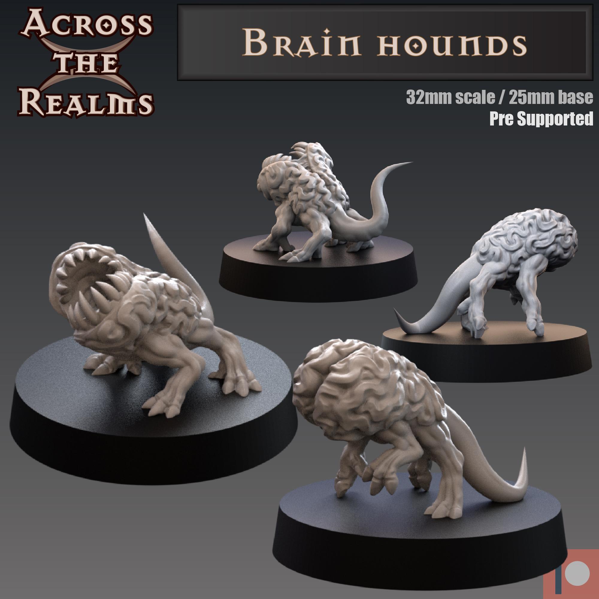 Brain Hounds 3d model