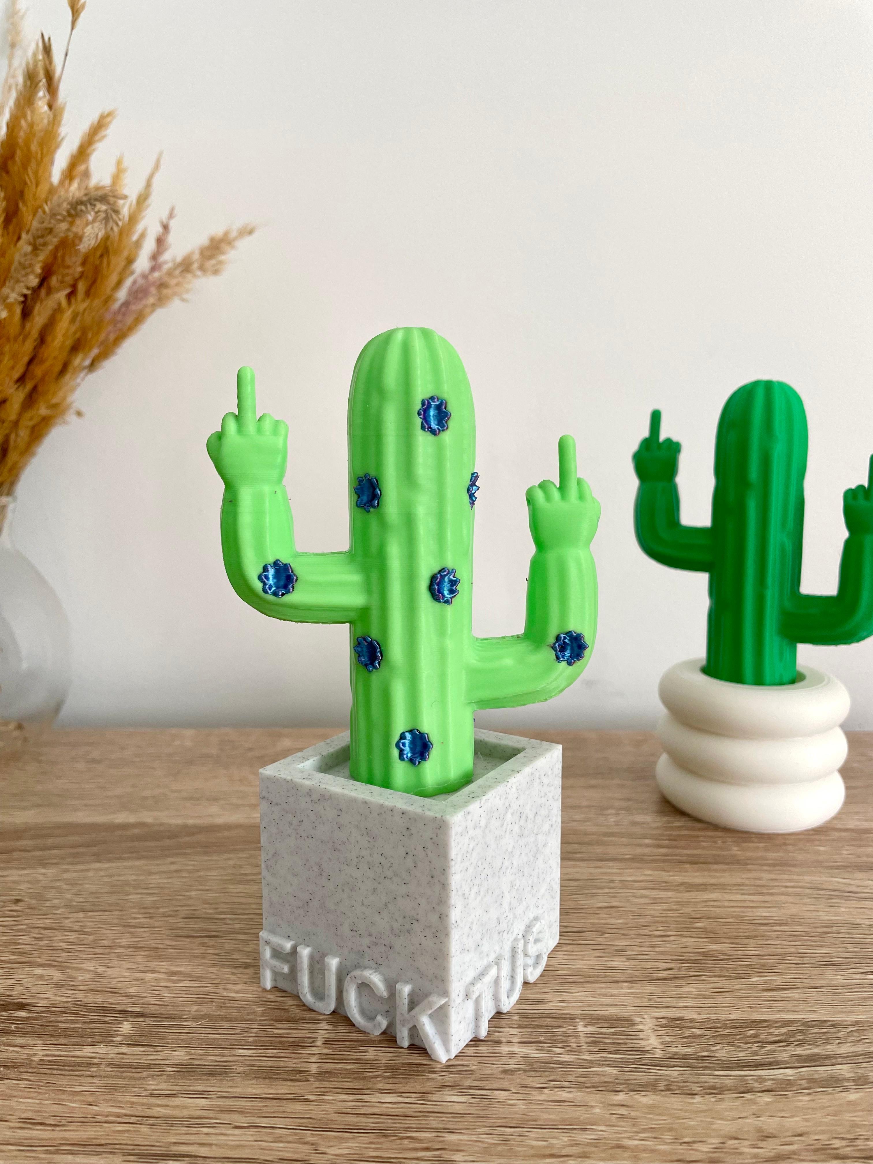 Cactus Middlefinger - Fucktus 3d model