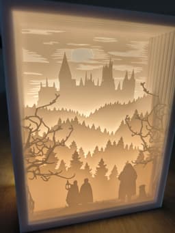 Harry Potter and The Philosopher's Stone Shadow Box Lamp 3d model