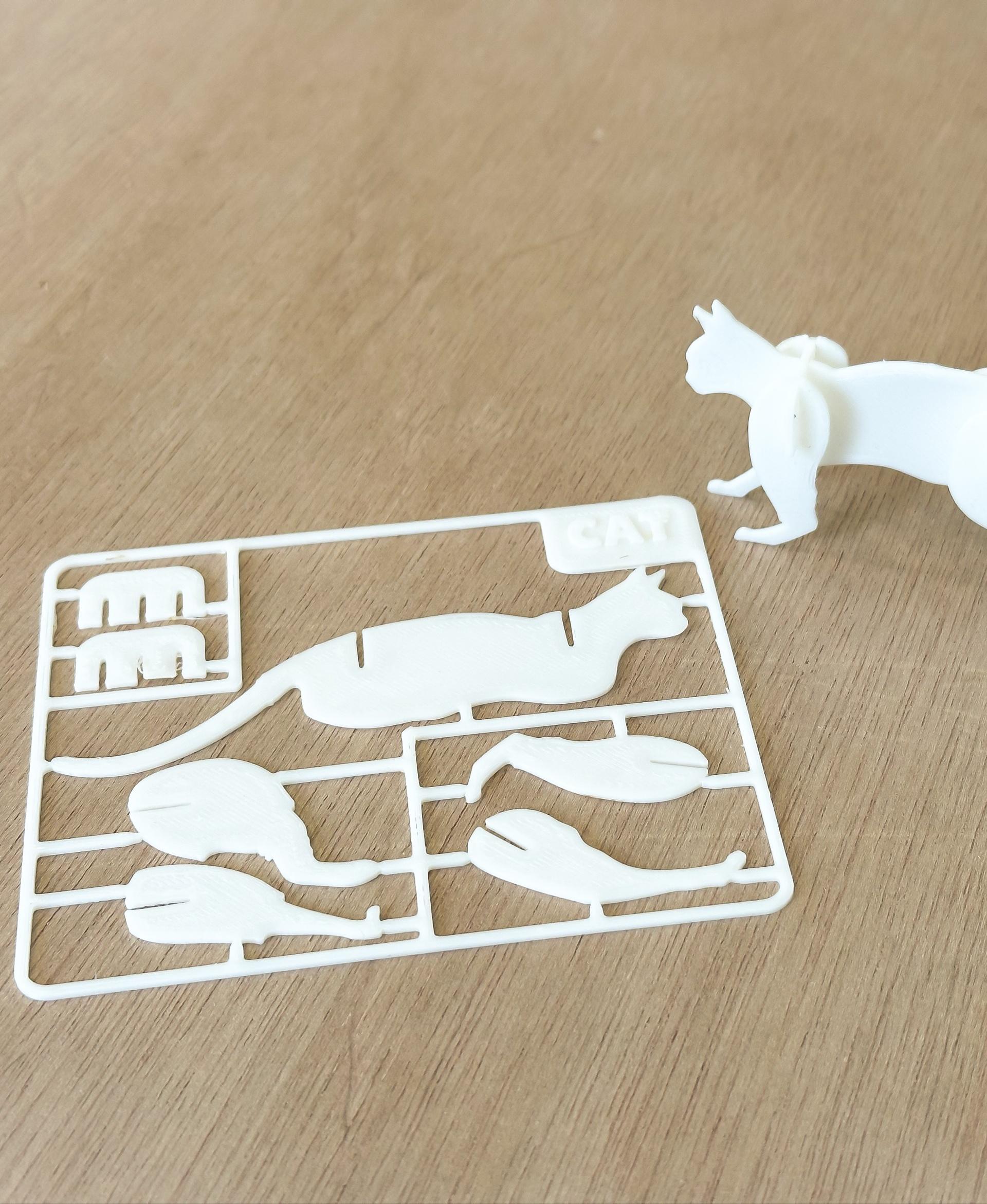 Cat Kit Card 01 (Print In Place) 3d model