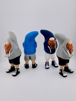 Bruh Gnome... Sup? 3d model