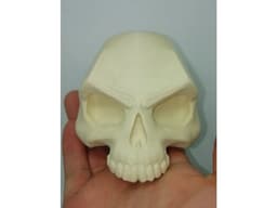 Skull_scar 3d model