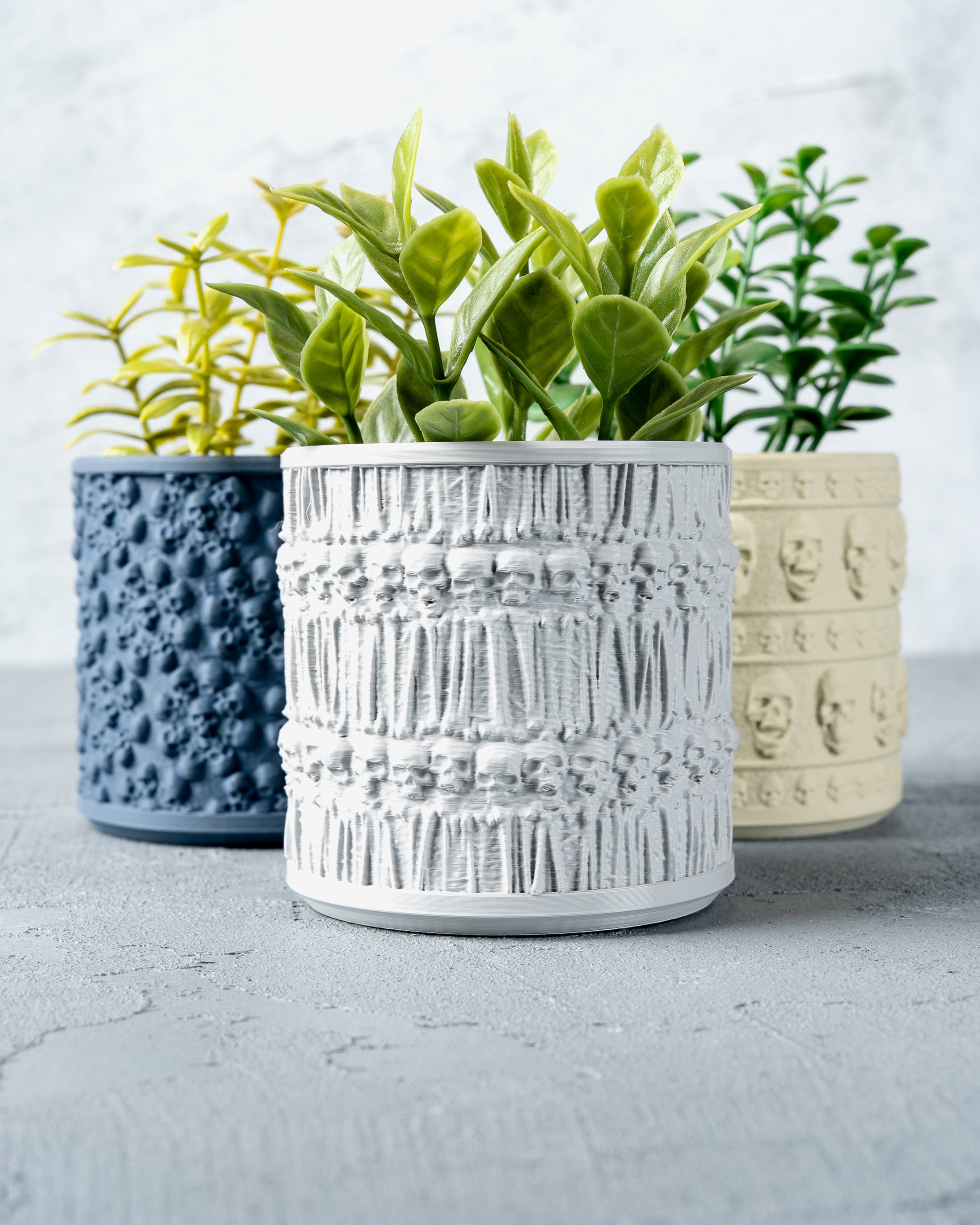 Skull Planters 3d model