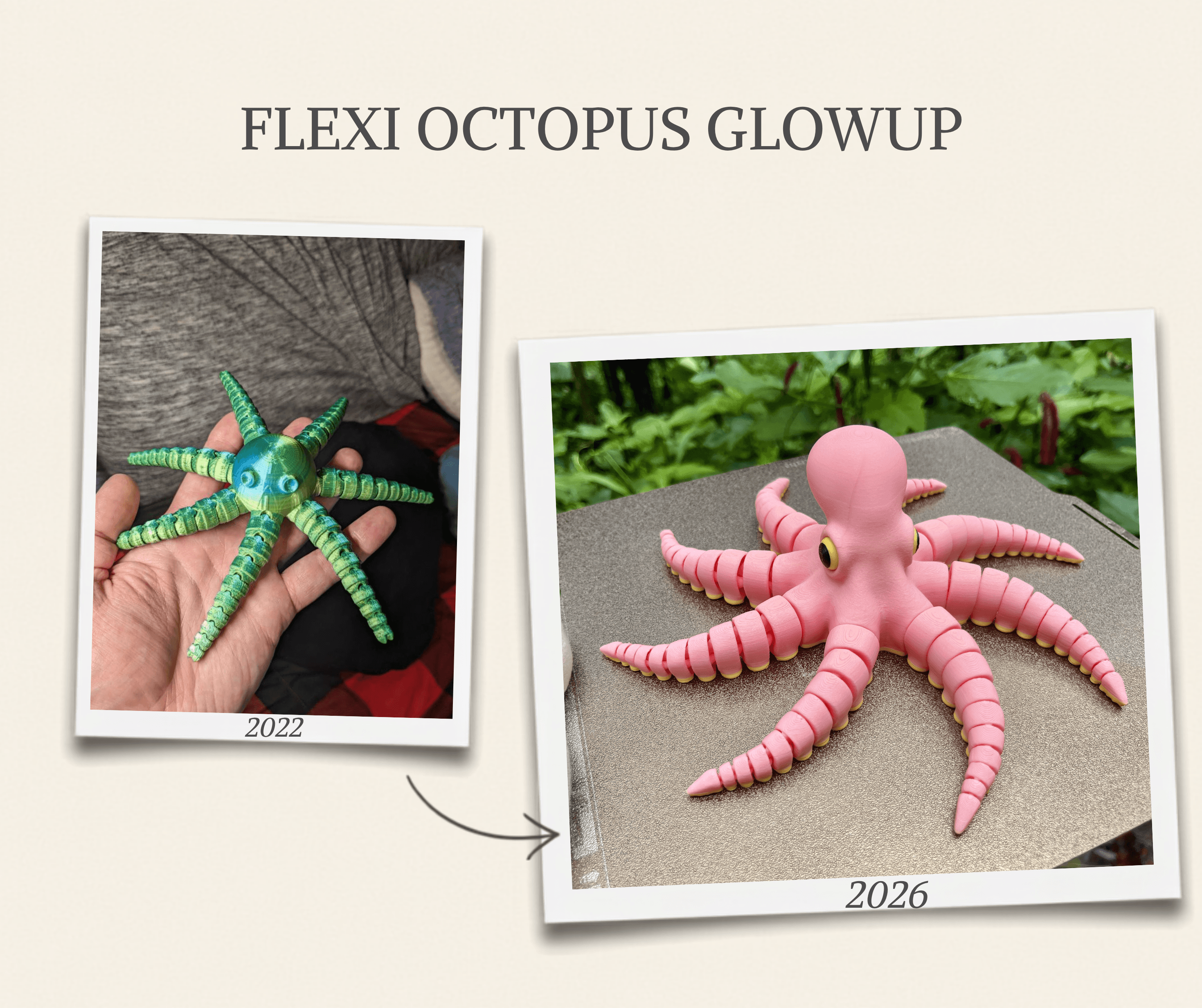 FLEXI OCTOPUS 3d model
