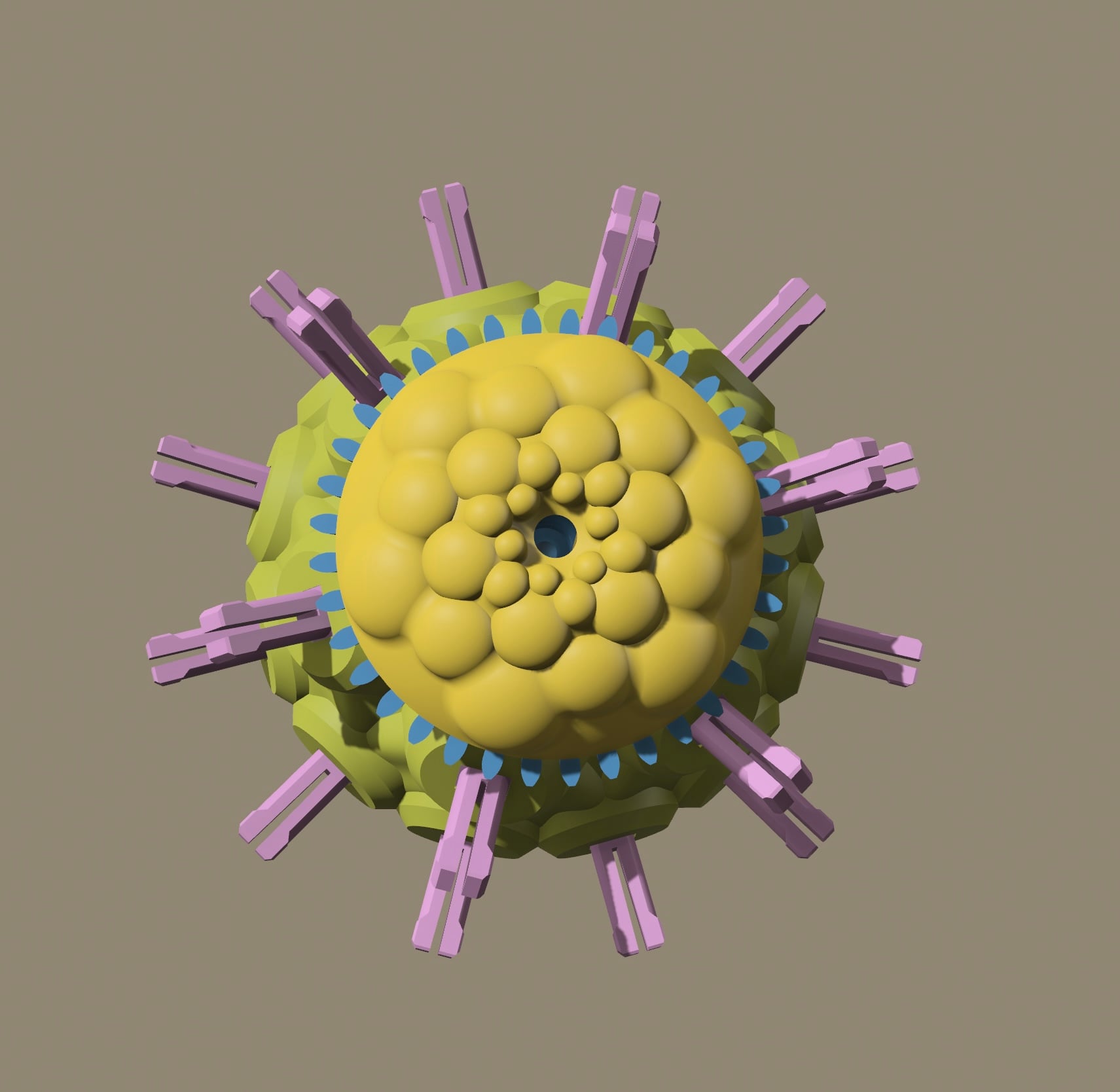 Hexamerous Head 3d model