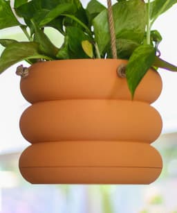 Hanging Planter Pod with Twist-Off Drain Plate 3d model
