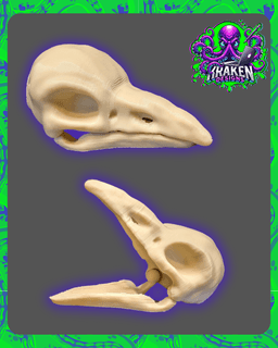 Articulated Raven/Crow Skull 3d model