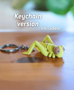 Gamboling Grasshopper - Articulated Fidget Grasshopper - Ludo 3D Printed Flexy Fidget Toy 3d model