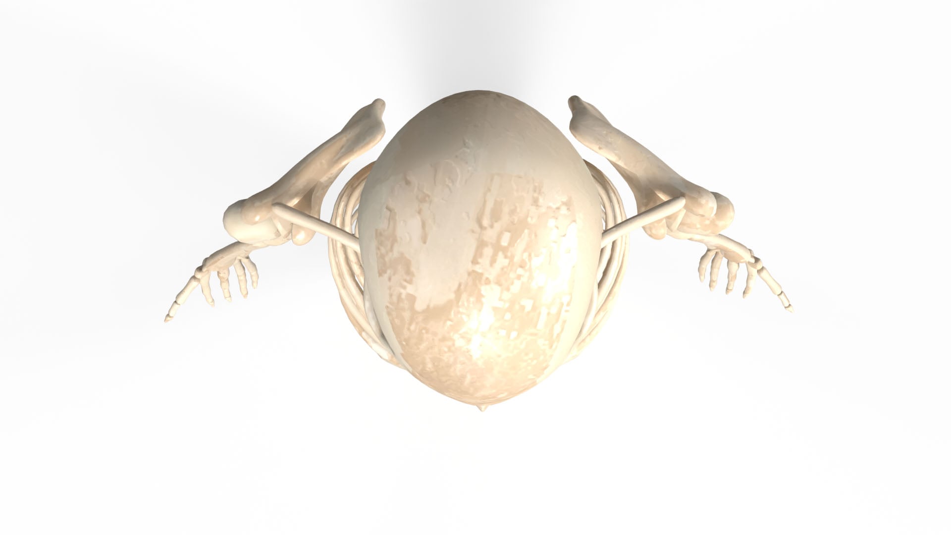 Realistic Skeleton 3d model