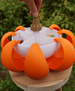 Sliced Pumpkin Box 3d model