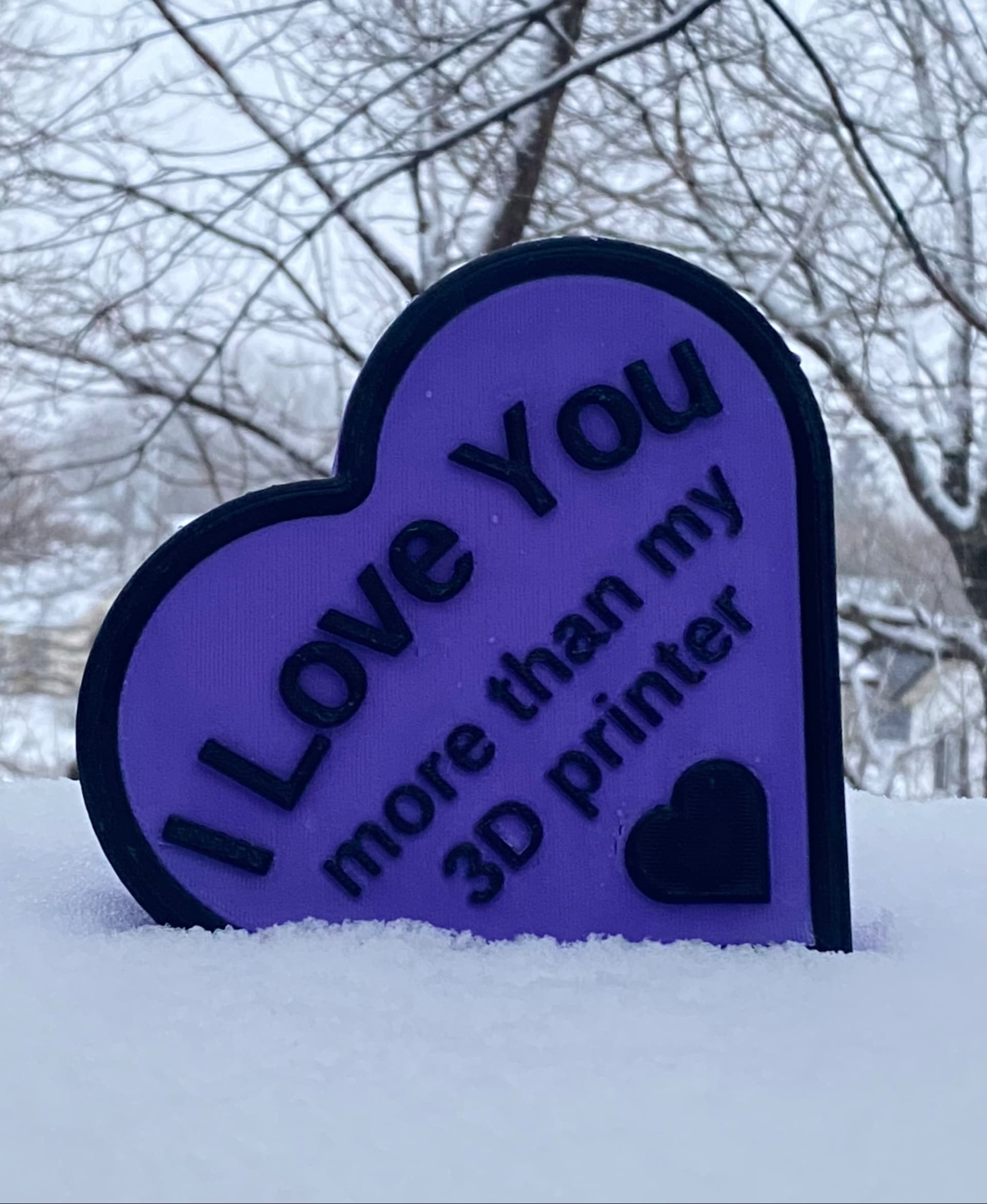 I love you more than my 3d printer - semi blurry because I took pics in a snow storm 😂
Filament: Bambu
Printer: Bambu p1p
