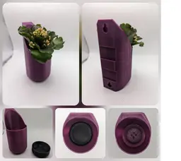 Wall Planters - Succulents 3d model