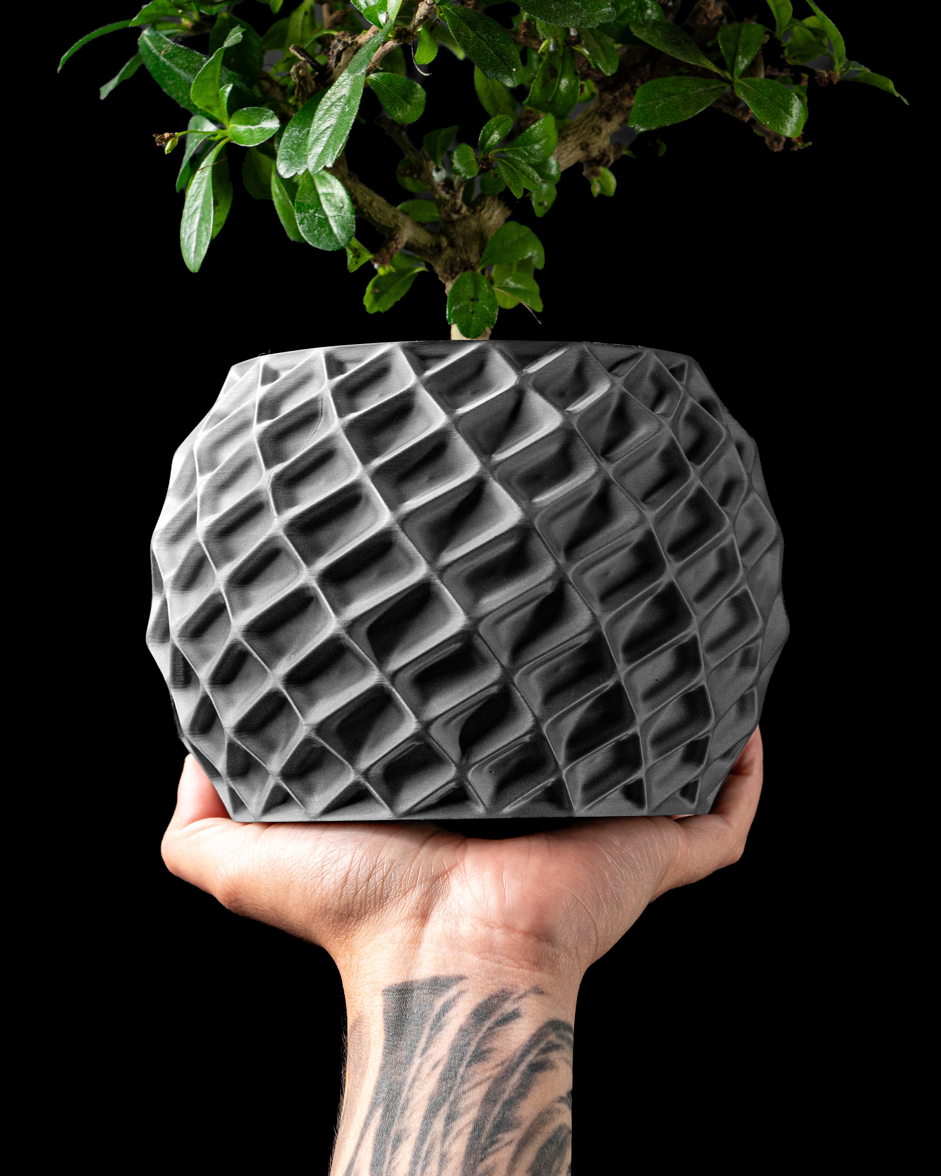 Planter Pot 002 by MODERN MACHINE 3d model