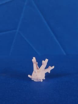 Corsola Low Poly Pokemon 3d model