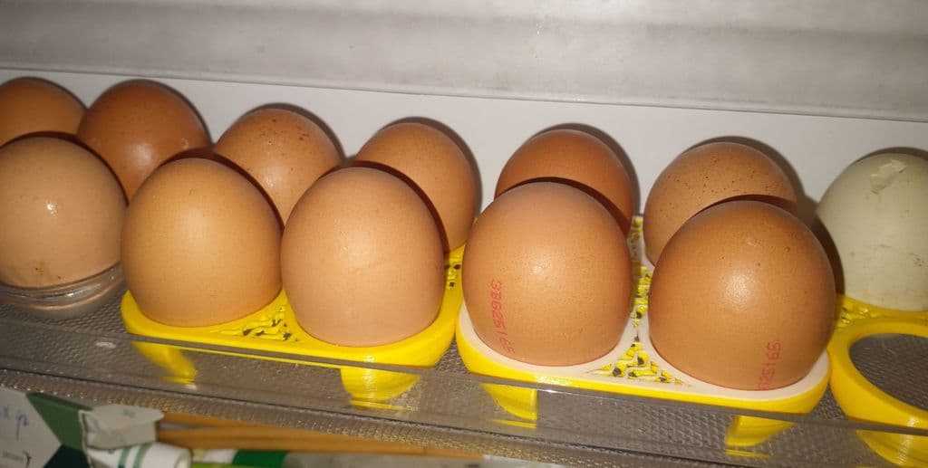 Egg tray 3d model