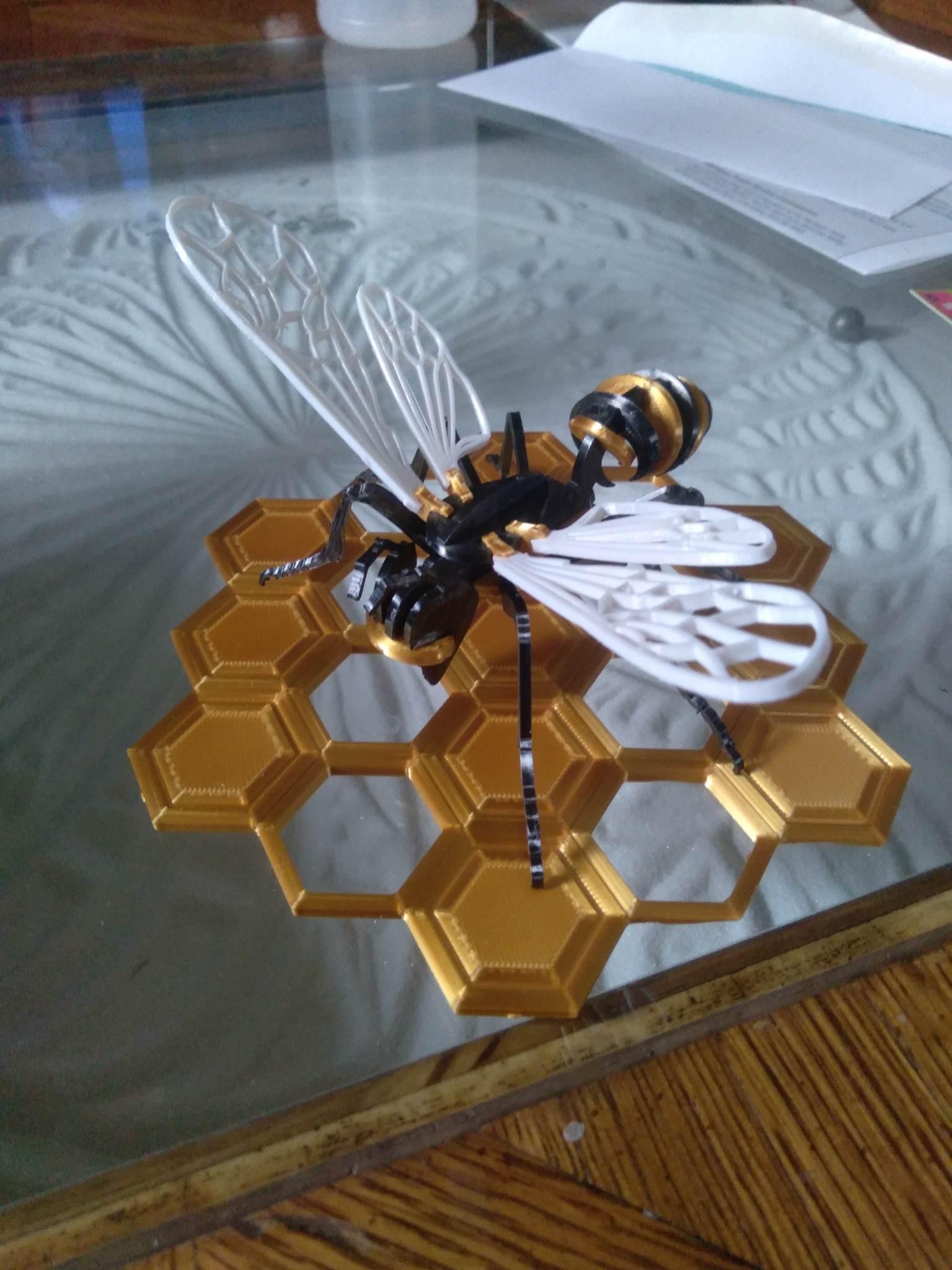 wasp - bee on honeycomb - Very nice print! - 3d model