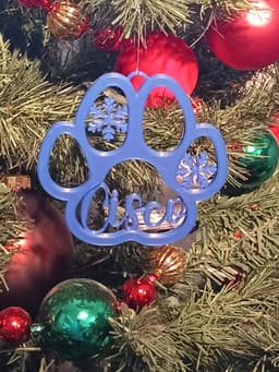 Cisco Pet Dog Paw Print Christmas Ornament Decoration 3d model