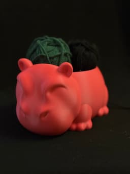 Used Polymaker Pastel Watermelon 3d model