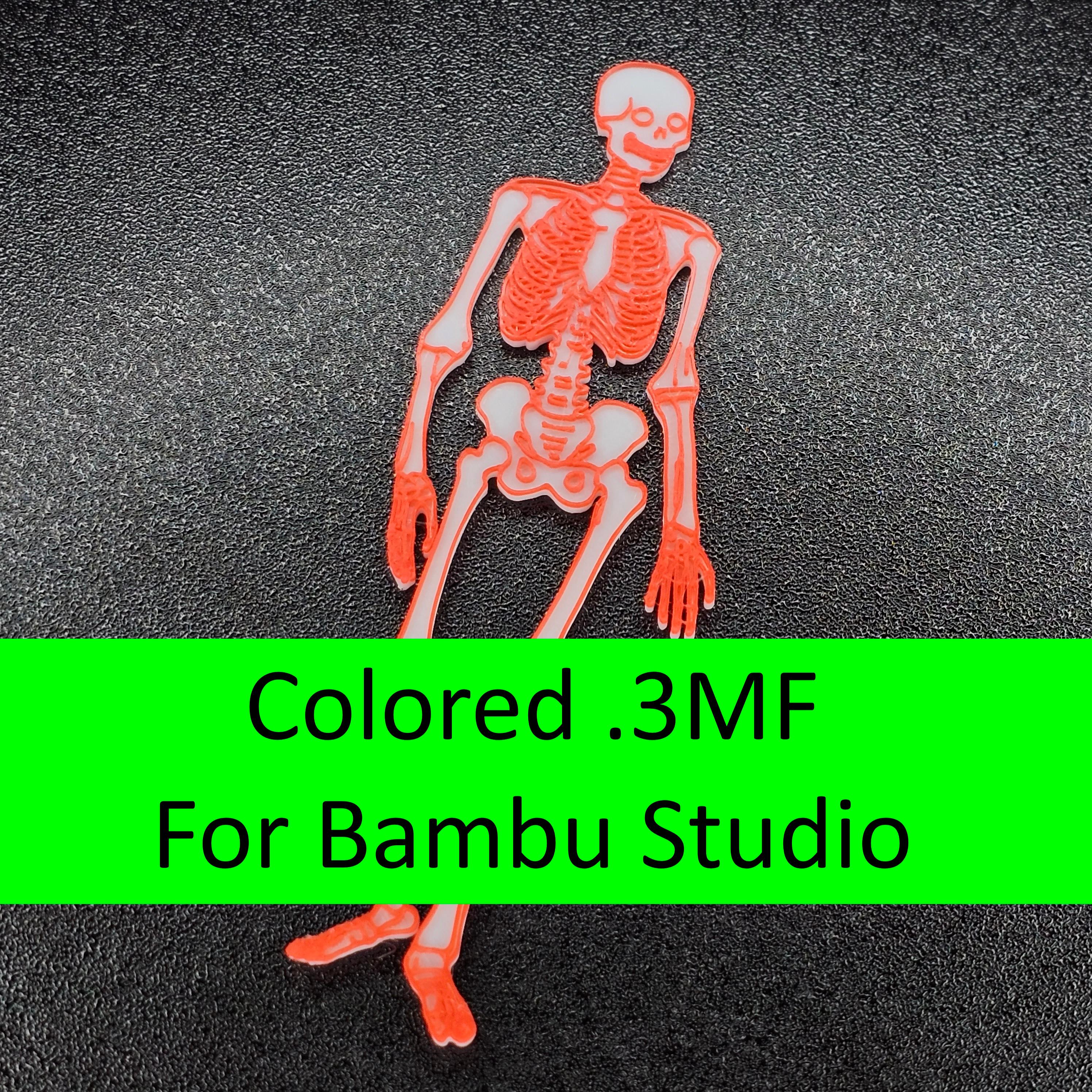 Skeleton_Colored_PrintStart3D.3mf 3d model