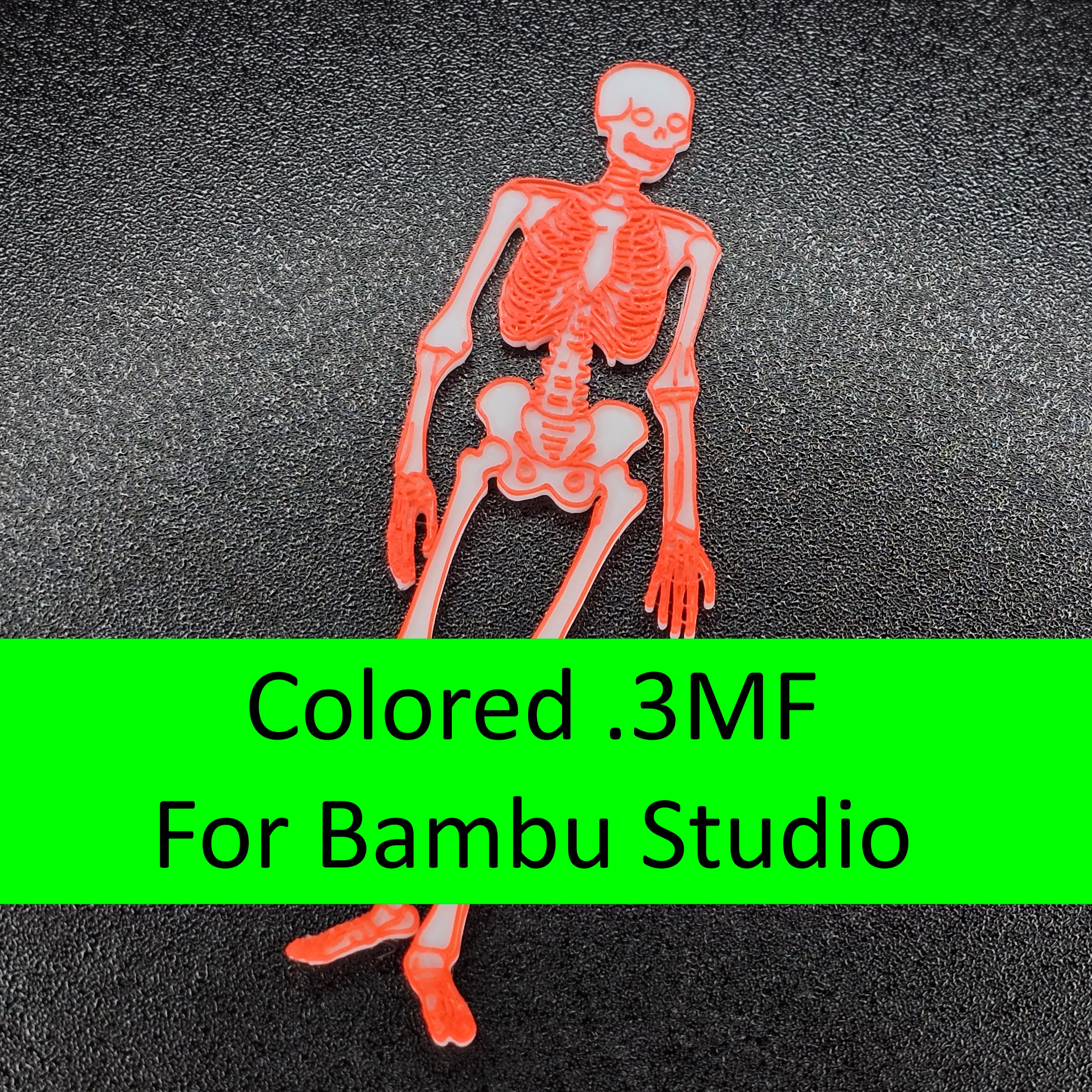 Skeleton_Colored_PrintStart3D.3mf 3d model