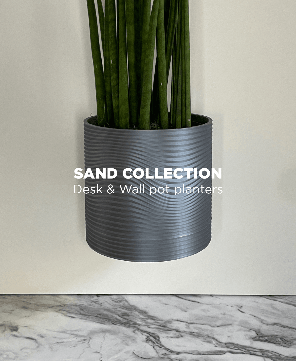 Sand Collection, desk/wall pot planters with drip tray. 3d model