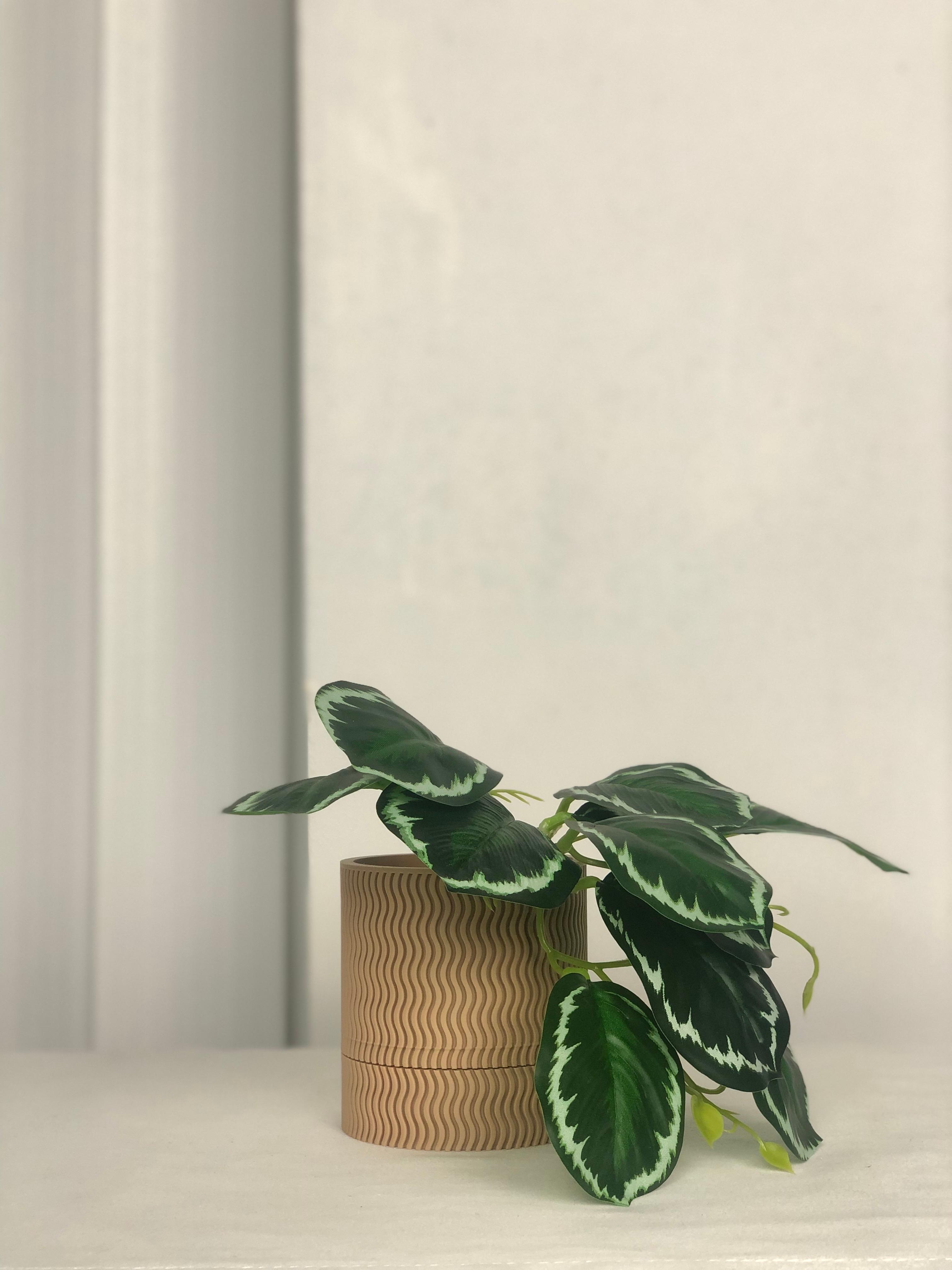 Plant Pot with Drainage  3d model