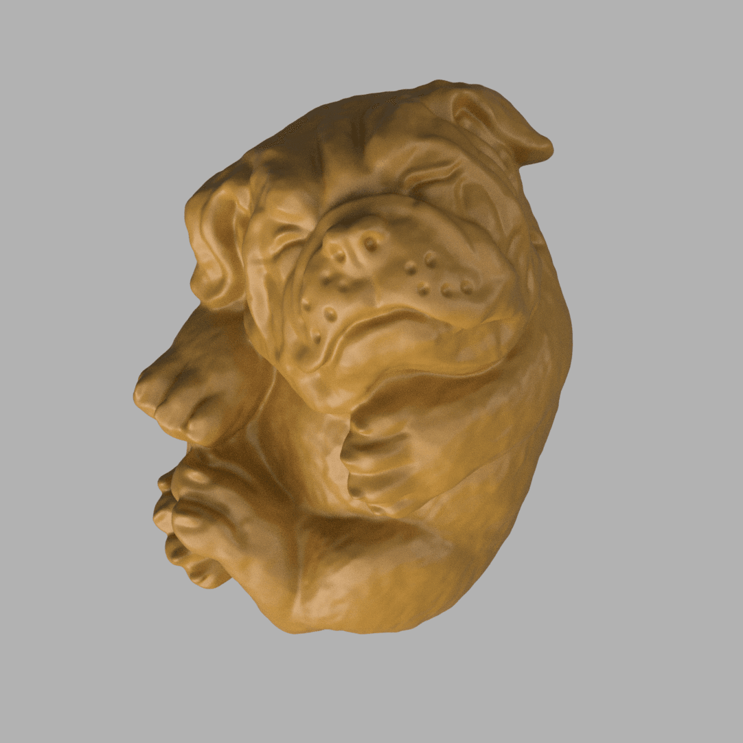 American bulldog sleeping 3d model