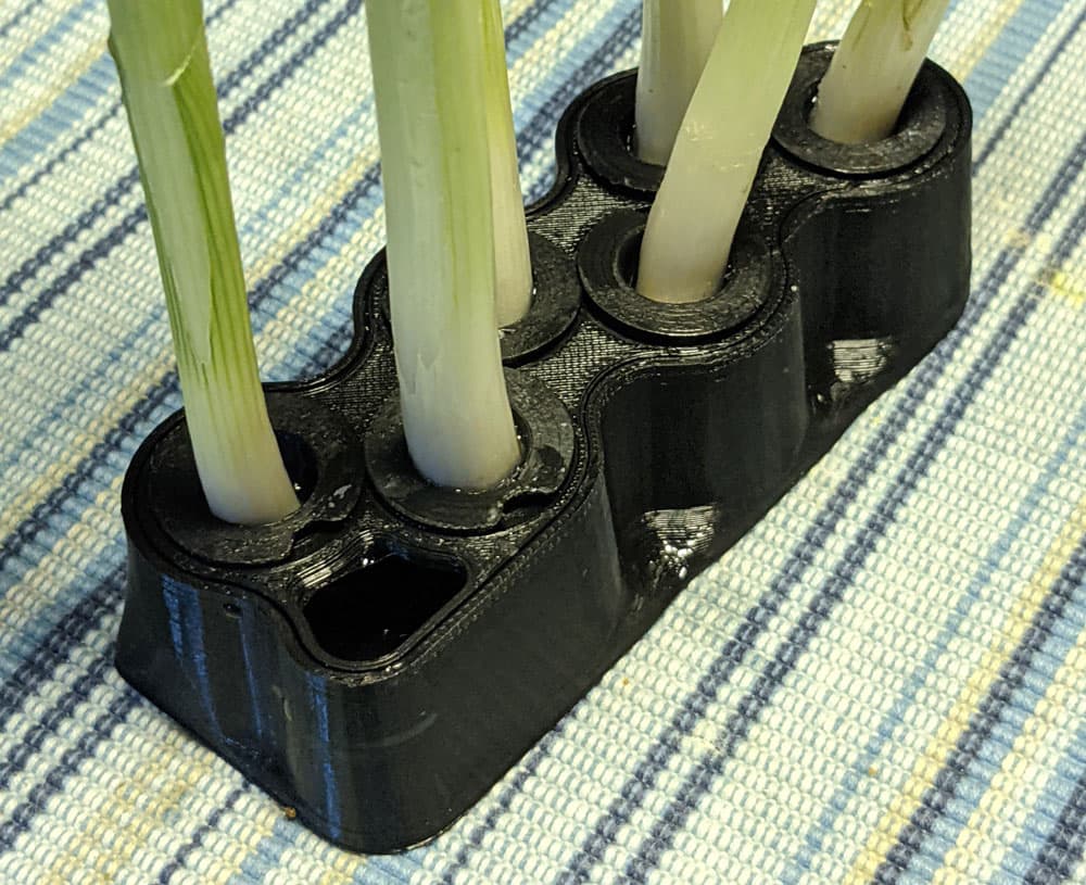 Infinite Scallions 3d model