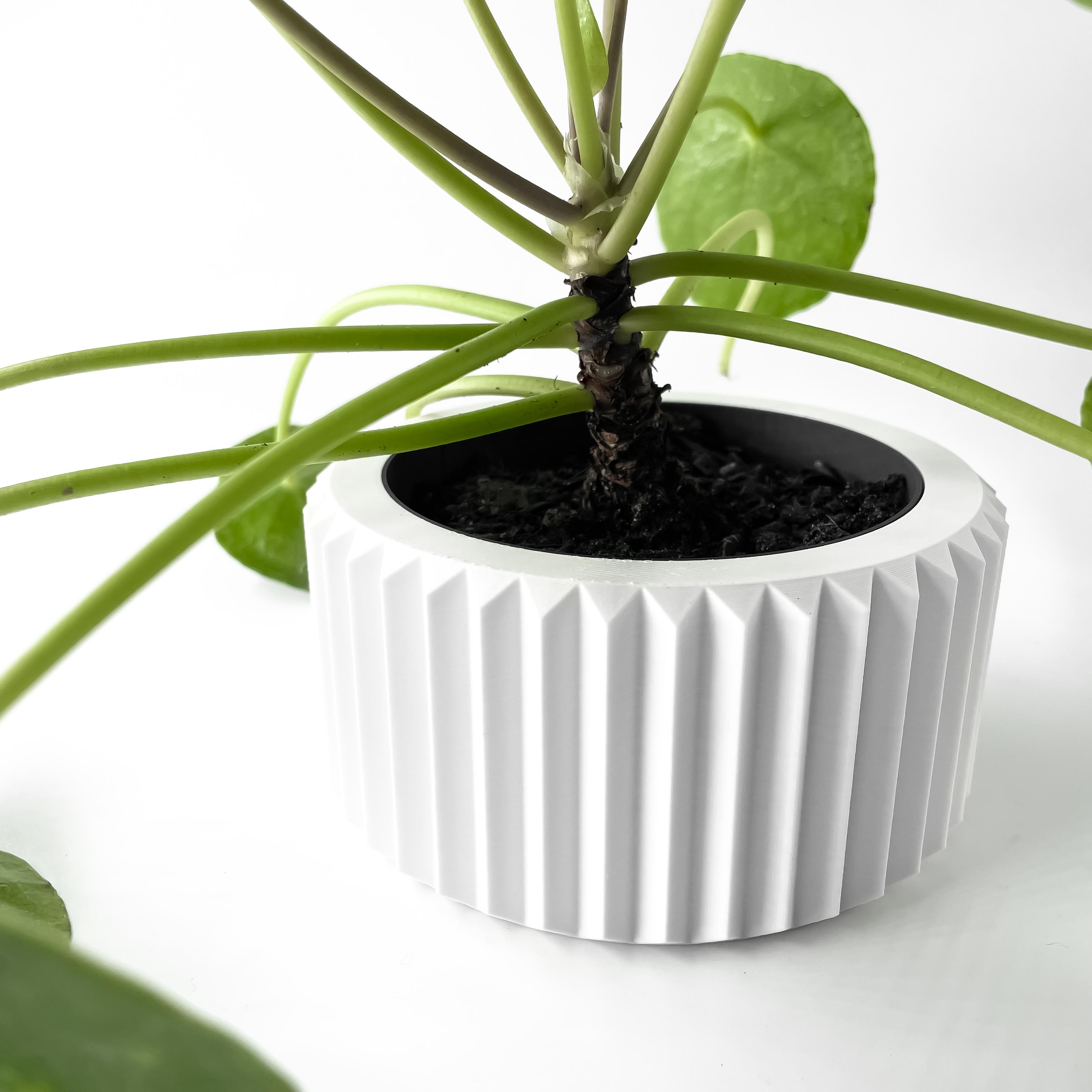 The Rilas Planter Pot with Drainage Tray & Stand Included | Modern and Unique Home Decor 3d model