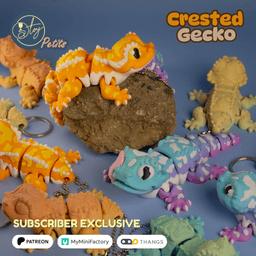 Crested Gecko 3d model
