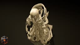 Flickeris the Meltwalker 3d model