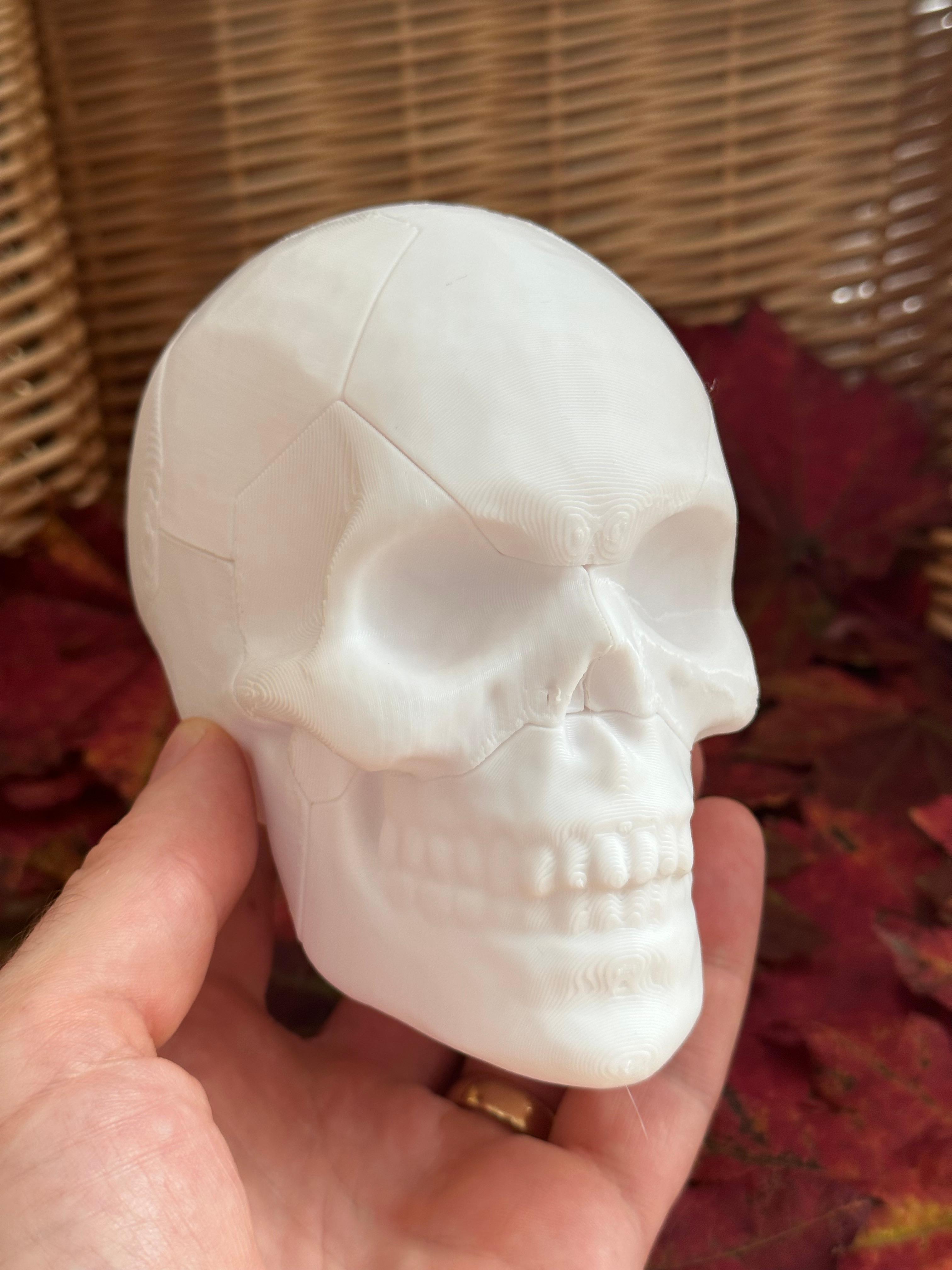 Skull Puzzle 3d model