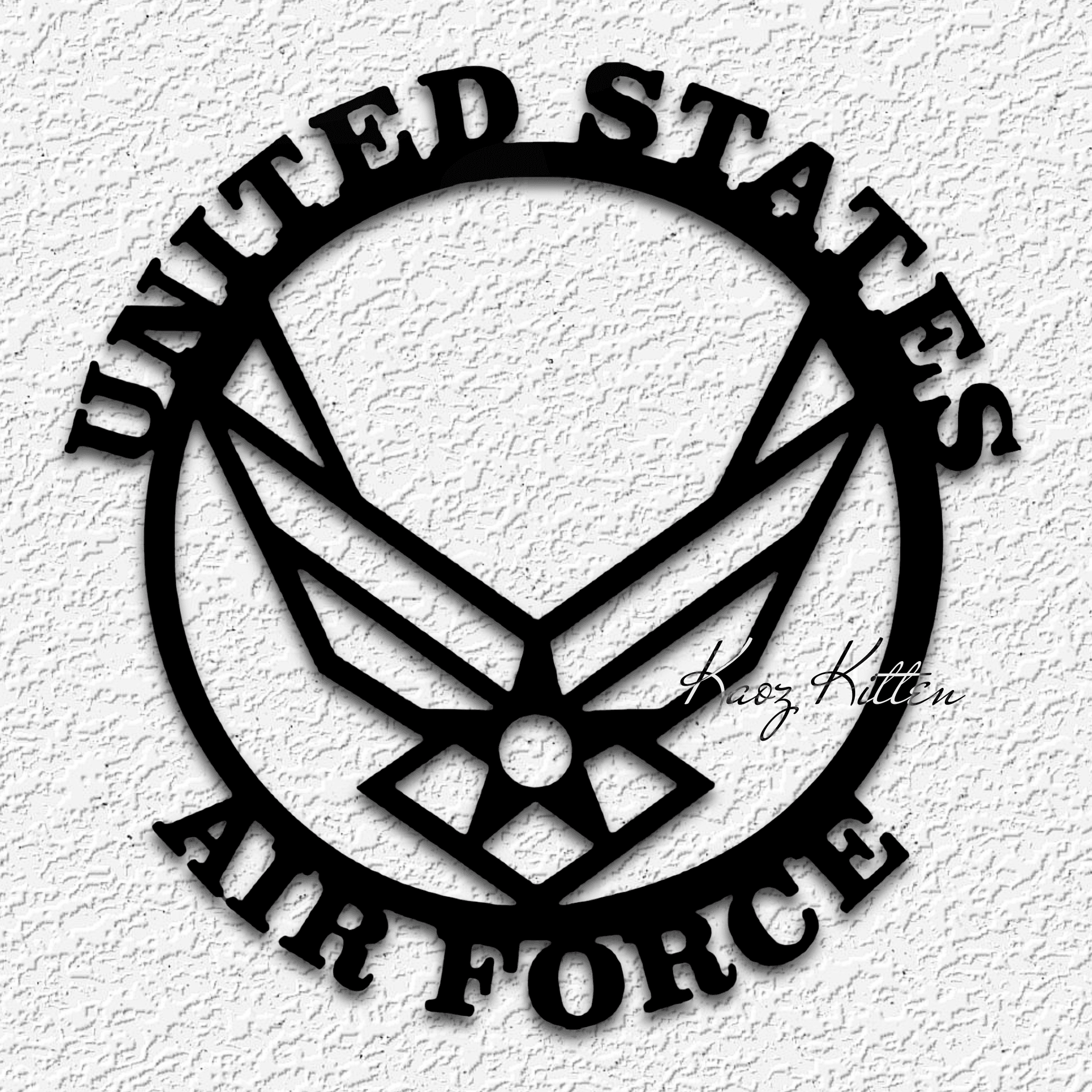 US air force wall art united states military home decor 3d model