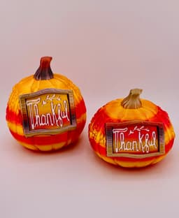 Thankful Pumpkin 3d model