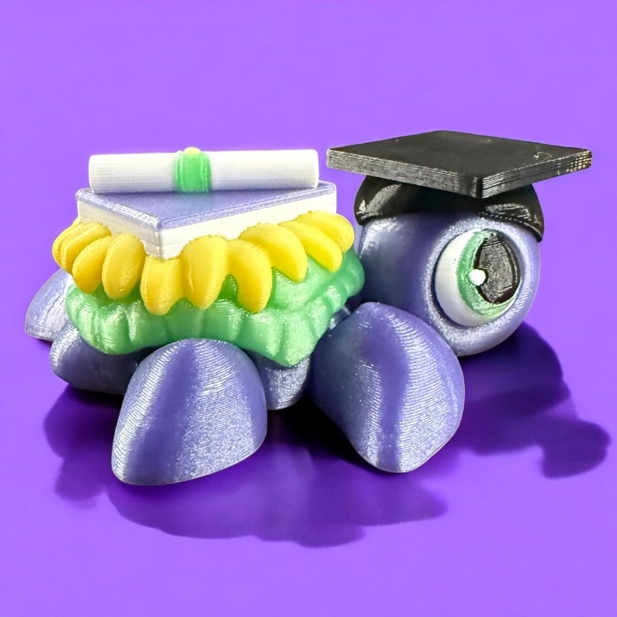 Graduation Turtle 3d model